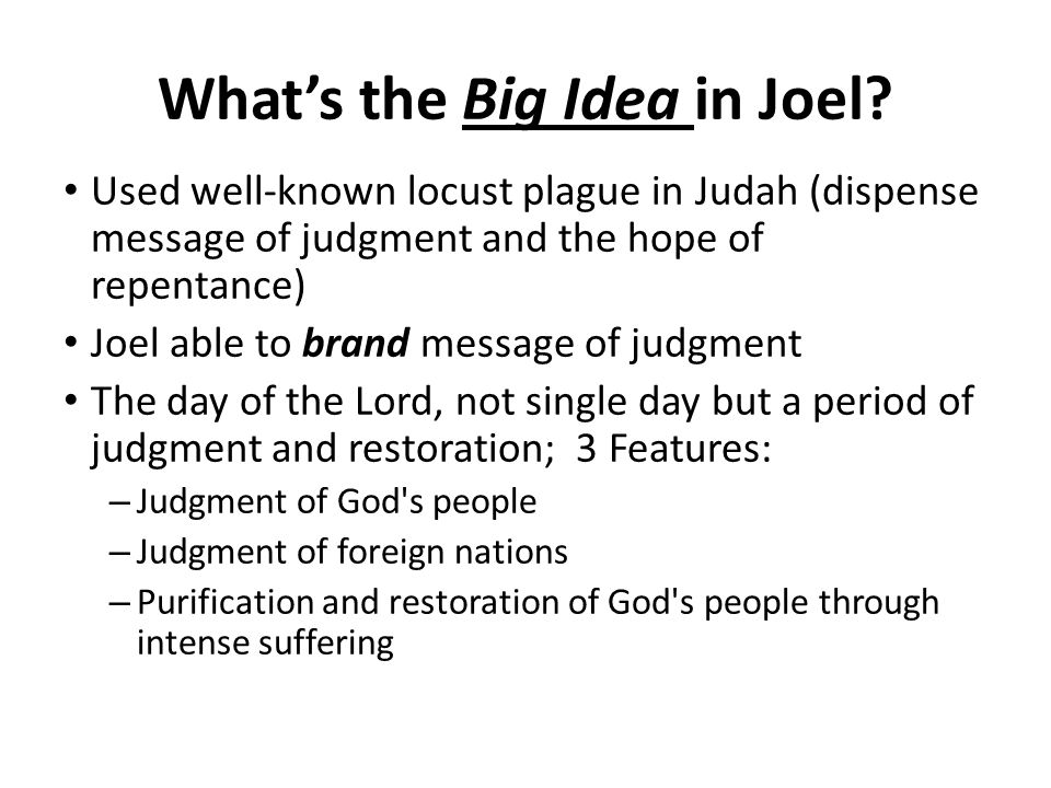 What’s the Big Idea in Joel.