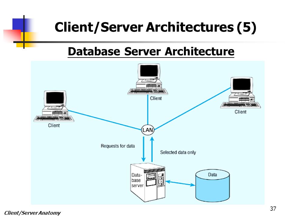 client server database model