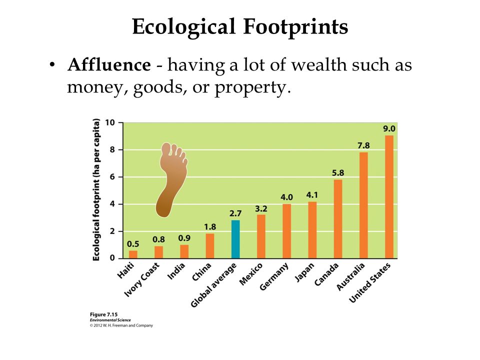 Ecological Footprints Affluence - having a lot of wealth such as money, goods, or property.