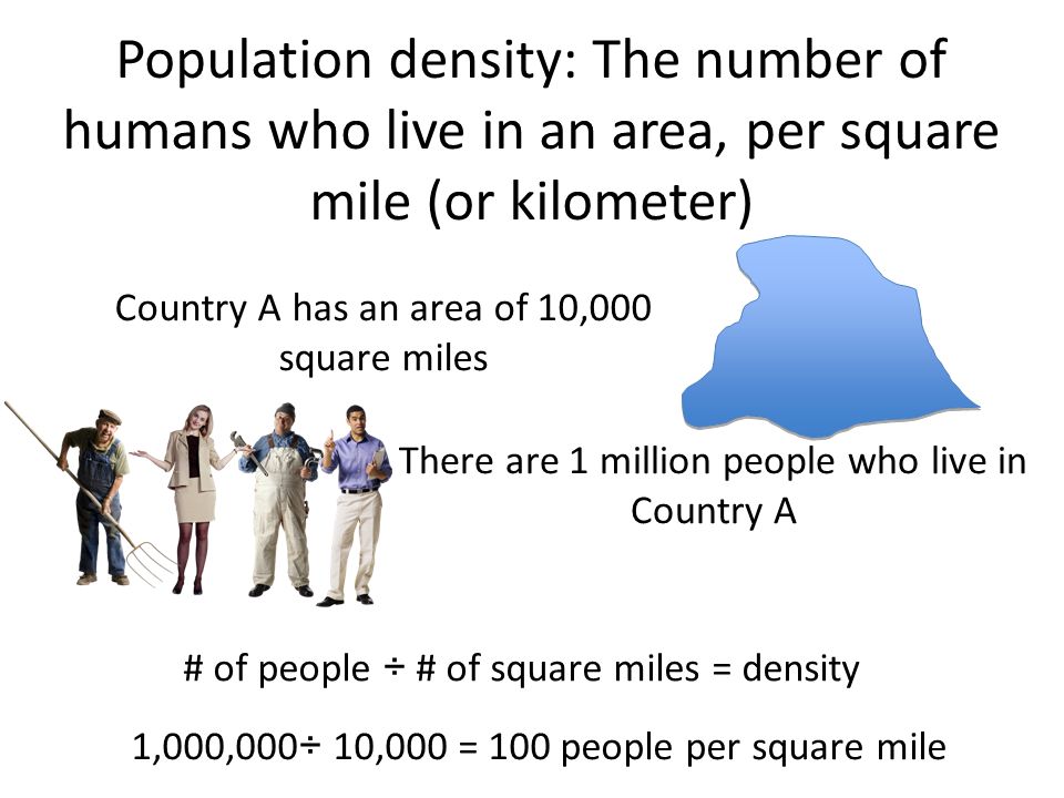Population Density. Population density: The number of humans who live in an  area, per square mile (or kilometer) Country A has an area of 10,000 square.  - ppt download