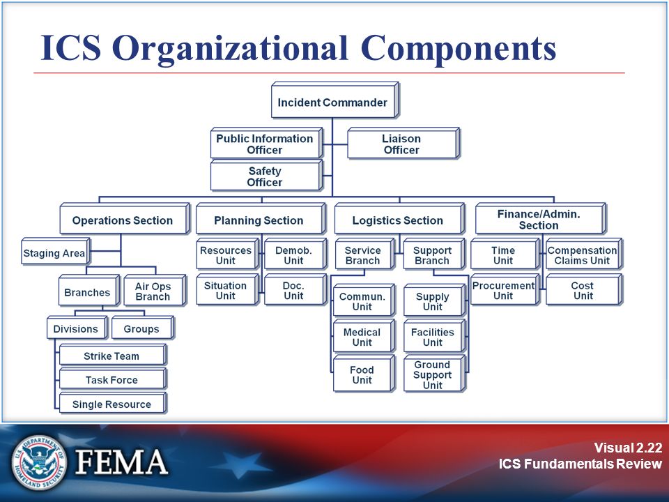 Ics Organizational Chart