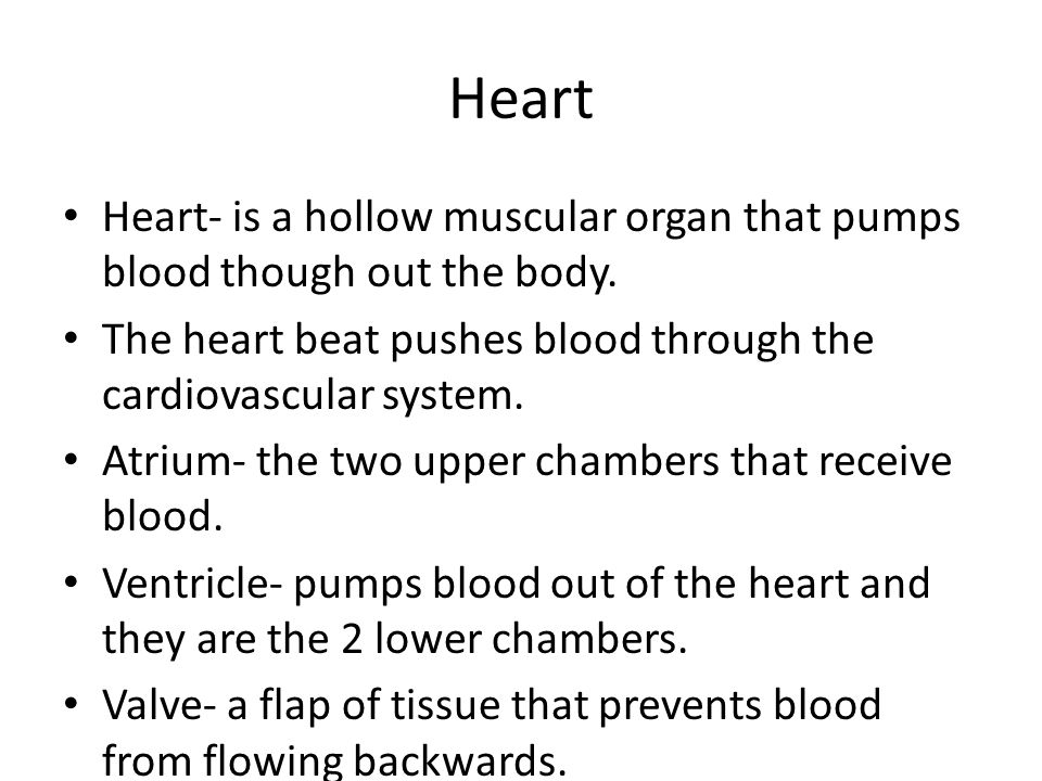 Heart Heart- is a hollow muscular organ that pumps blood though out the body.