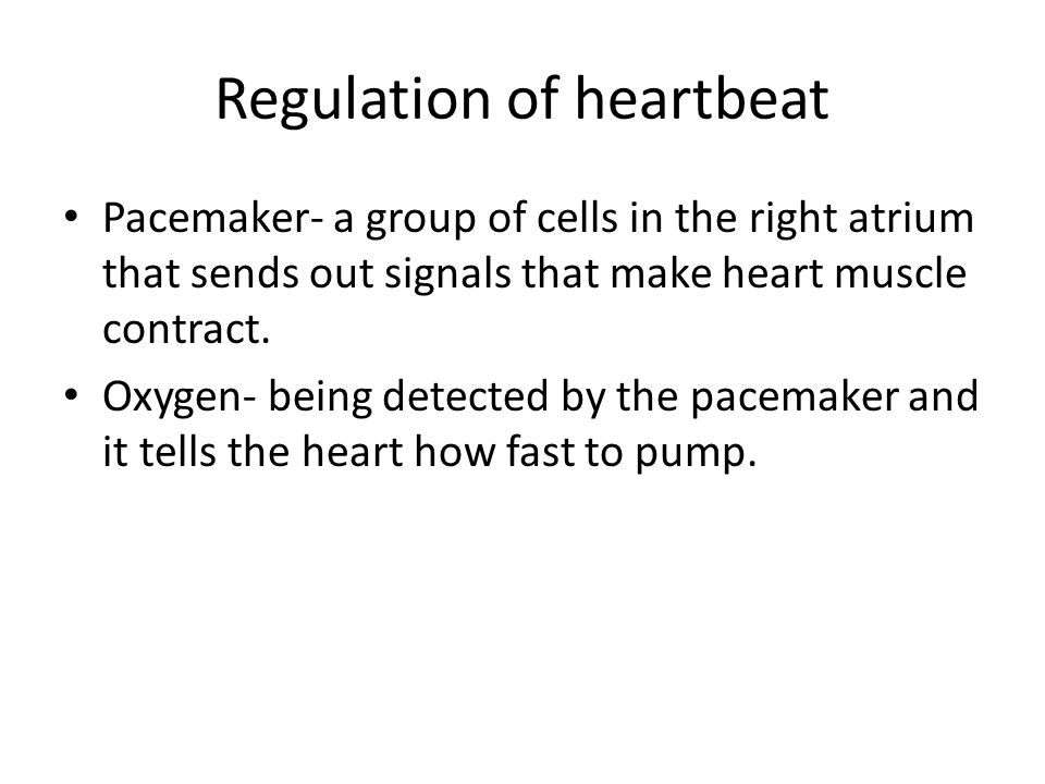 Regulation of heartbeat Pacemaker- a group of cells in the right atrium that sends out signals that make heart muscle contract.