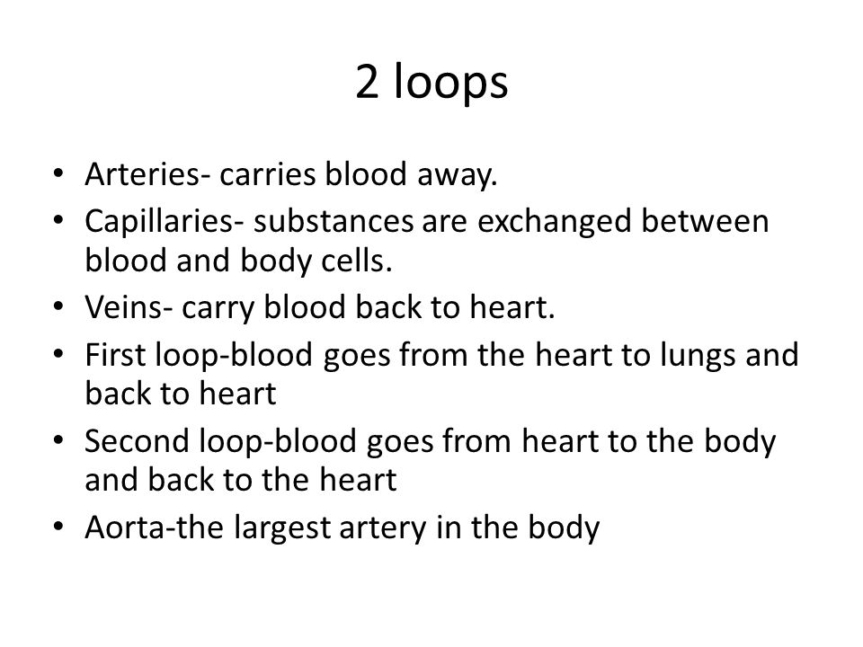 2 loops Arteries- carries blood away.