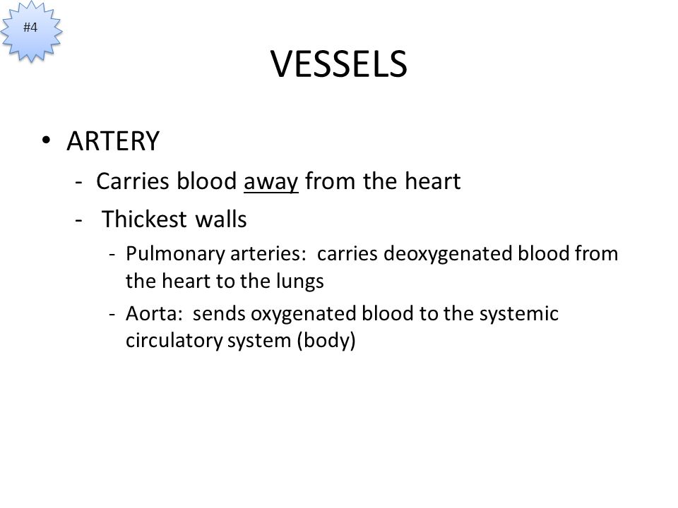 VESSELS ARTERY -Carries blood away from the heart - Thickest walls -Pulmonary arteries: carries deoxygenated blood from the heart to the lungs -Aorta: sends oxygenated blood to the systemic circulatory system (body) #4