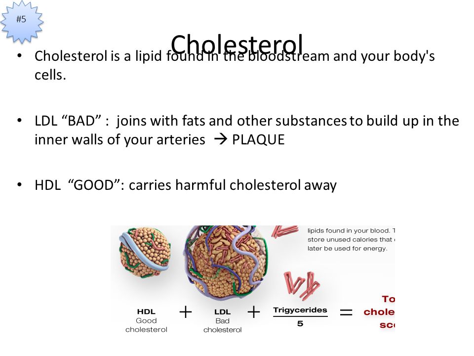 Cholesterol Cholesterol is a lipid found in the bloodstream and your body s cells.
