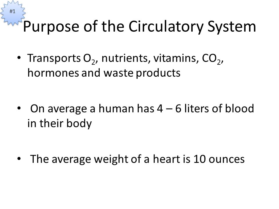 Purpose of the Circulatory System Transports O 2, nutrients, vitamins, CO 2, hormones and waste products On average a human has 4 – 6 liters of blood in their body The average weight of a heart is 10 ounces #1