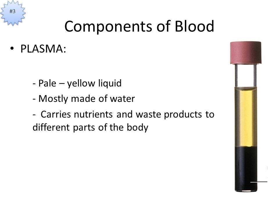 Components of Blood PLASMA: - Pale – yellow liquid - Mostly made of water - Carries nutrients and waste products to different parts of the body #3