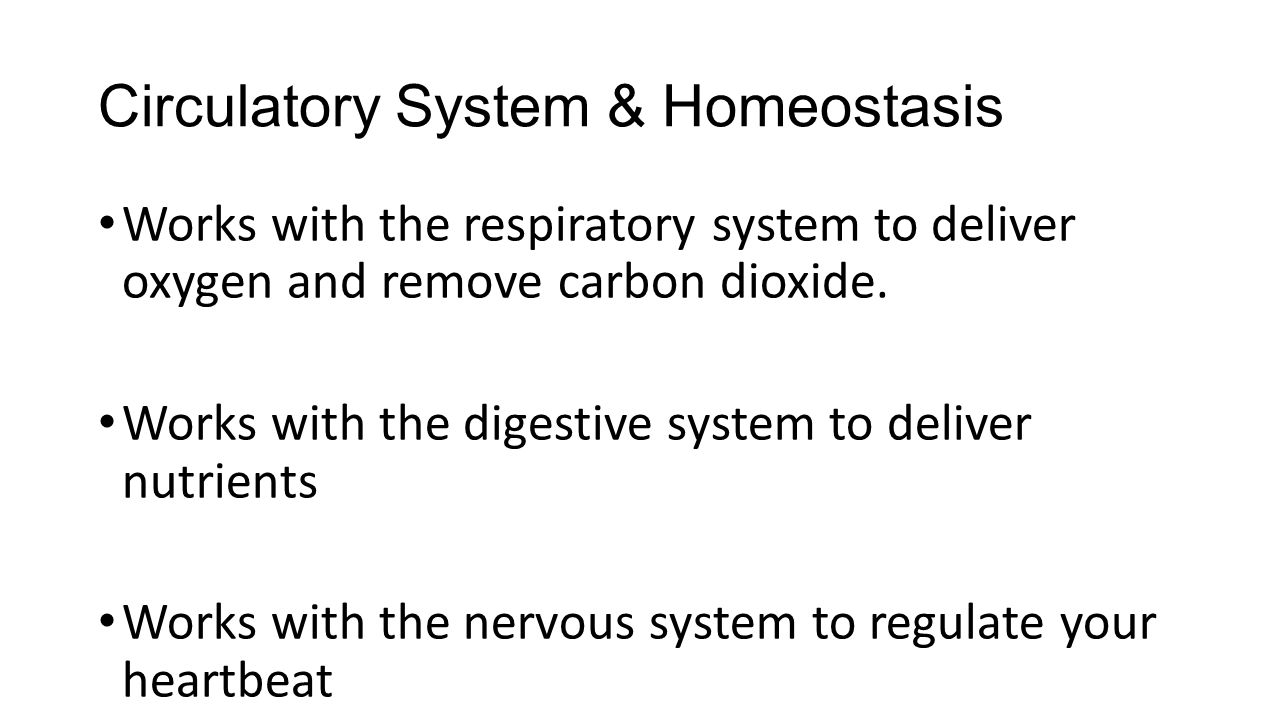 Circulatory System & Homeostasis Works with the respiratory system to deliver oxygen and remove carbon dioxide.
