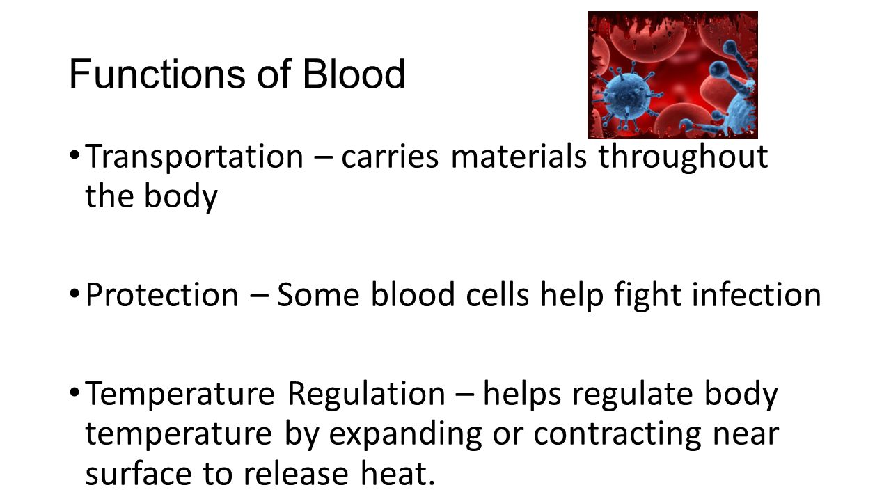 Functions of Blood Transportation – carries materials throughout the body Protection – Some blood cells help fight infection Temperature Regulation – helps regulate body temperature by expanding or contracting near surface to release heat.