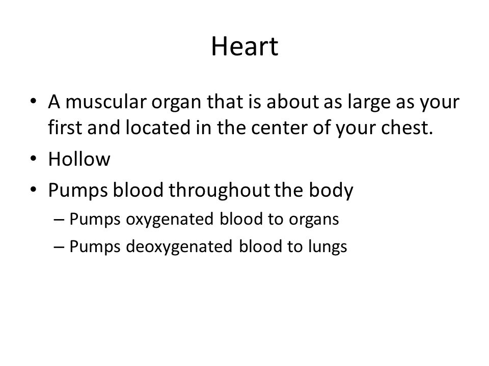 Heart A muscular organ that is about as large as your first and located in the center of your chest.