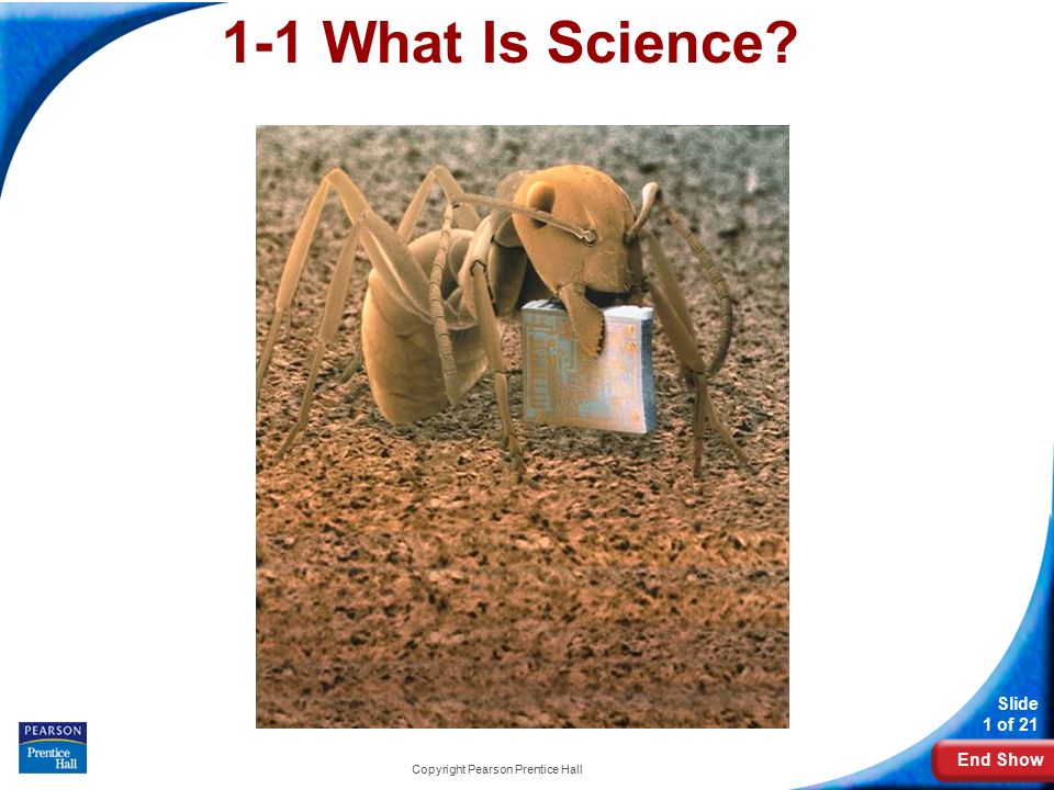 End Show Slide 1 of 21 Copyright Pearson Prentice Hall 1-1 What Is Science