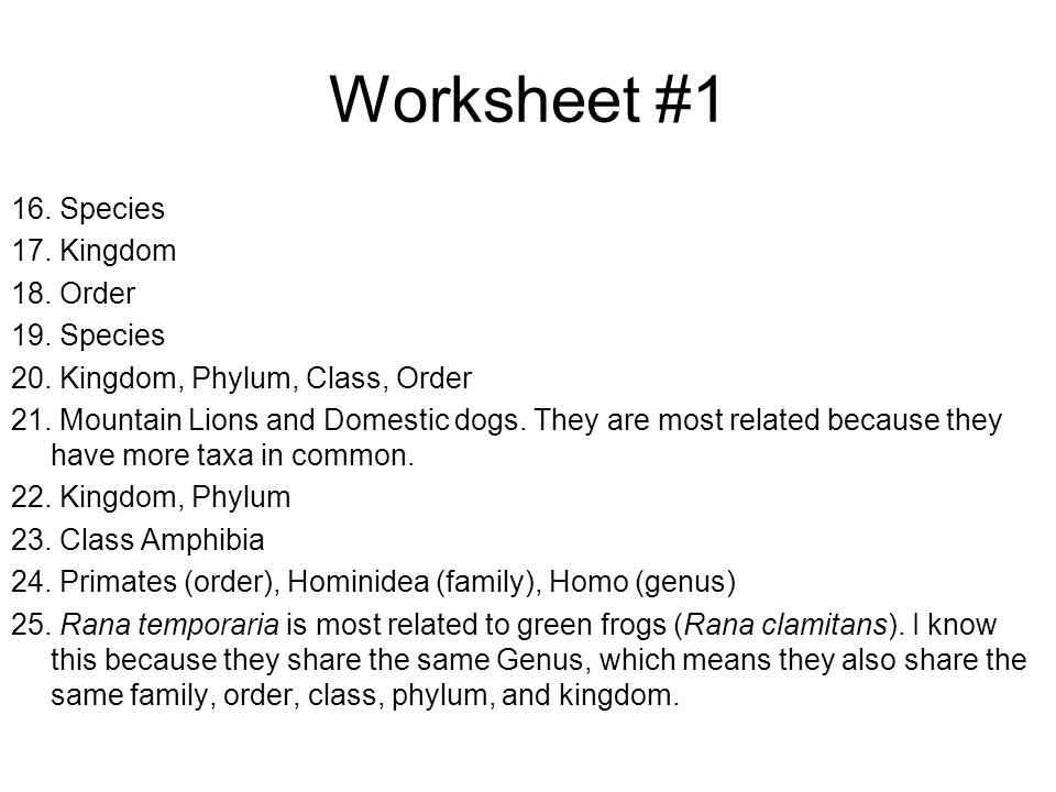 Worksheet 1 16 Species 17 Kingdom 18 Order 19 Species