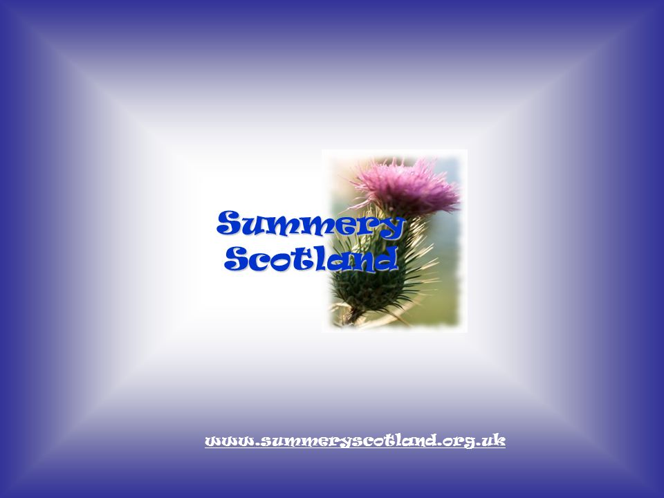 Summery Scotland