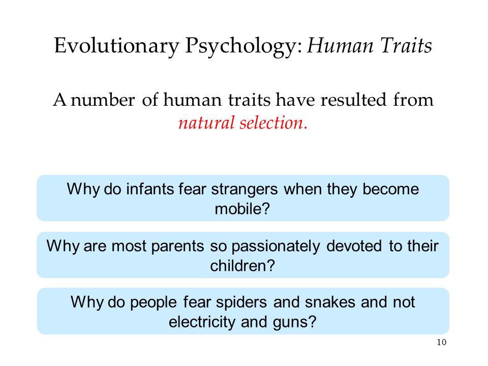 10 Evolutionary Psychology: Human Traits A number of human traits have resulted from natural selection.