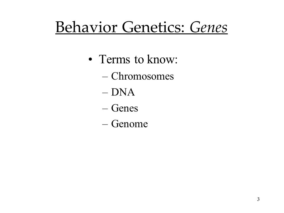 3 Behavior Genetics: Genes Terms to know: –Chromosomes –DNA –Genes –Genome