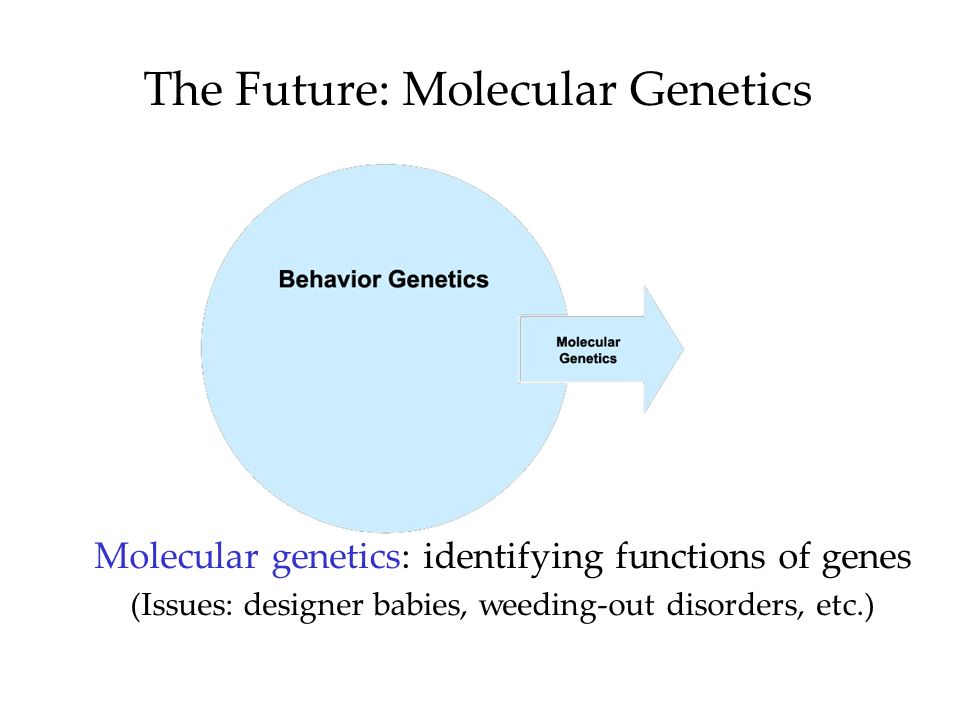The Future: Molecular Genetics Molecular genetics: identifying functions of genes (Issues: designer babies, weeding-out disorders, etc.)