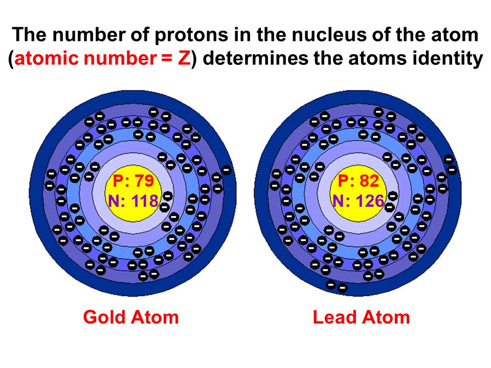 The number of protons in the nucleus of the atom (atomic number = Z) determines the atoms identity Gold Atom Lead Atom