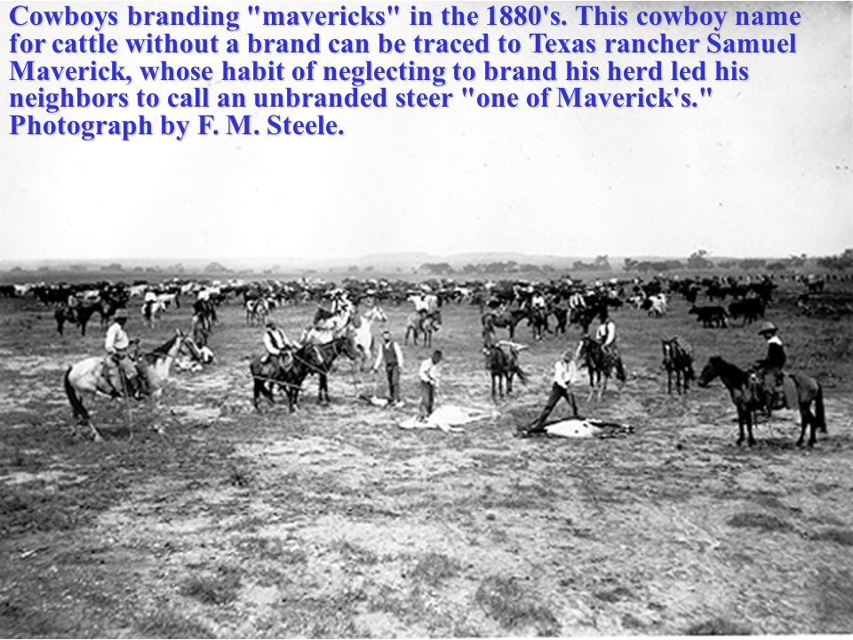 Cowboys branding mavericks in the 1880 s.