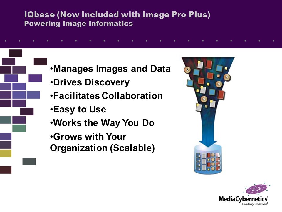 IQbase (Now Included with Image Pro Plus) Powering Image Informatics Manages Images and Data Drives Discovery Facilitates Collaboration Easy to Use Works the Way You Do Grows with Your Organization (Scalable)