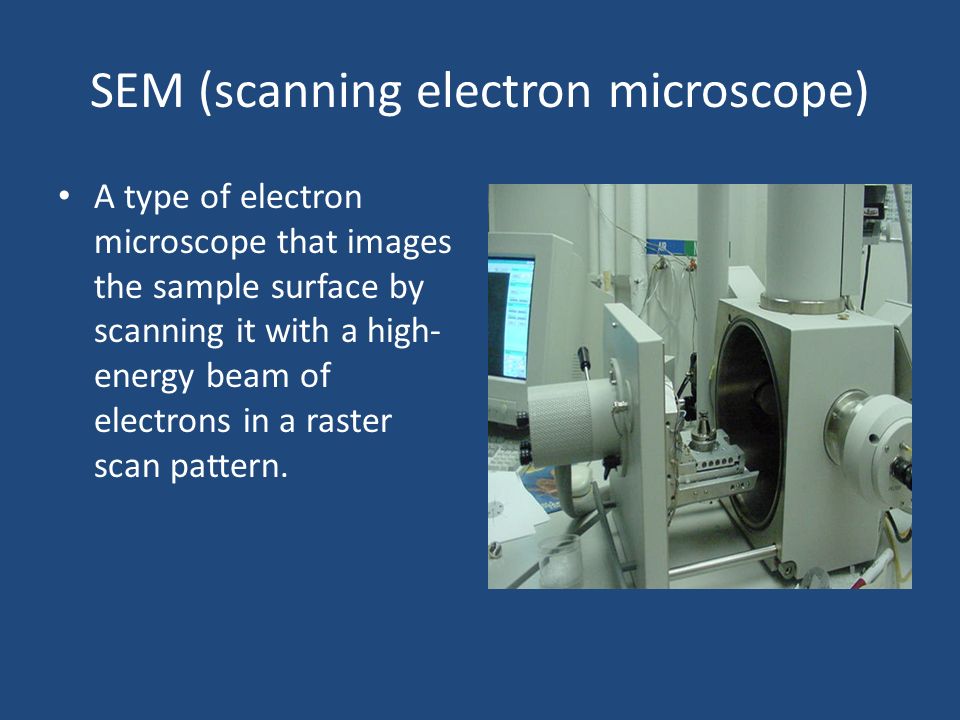 SEM (scanning electron microscope) A type of electron microscope that images the sample surface by scanning it with a high- energy beam of electrons in. - ppt download