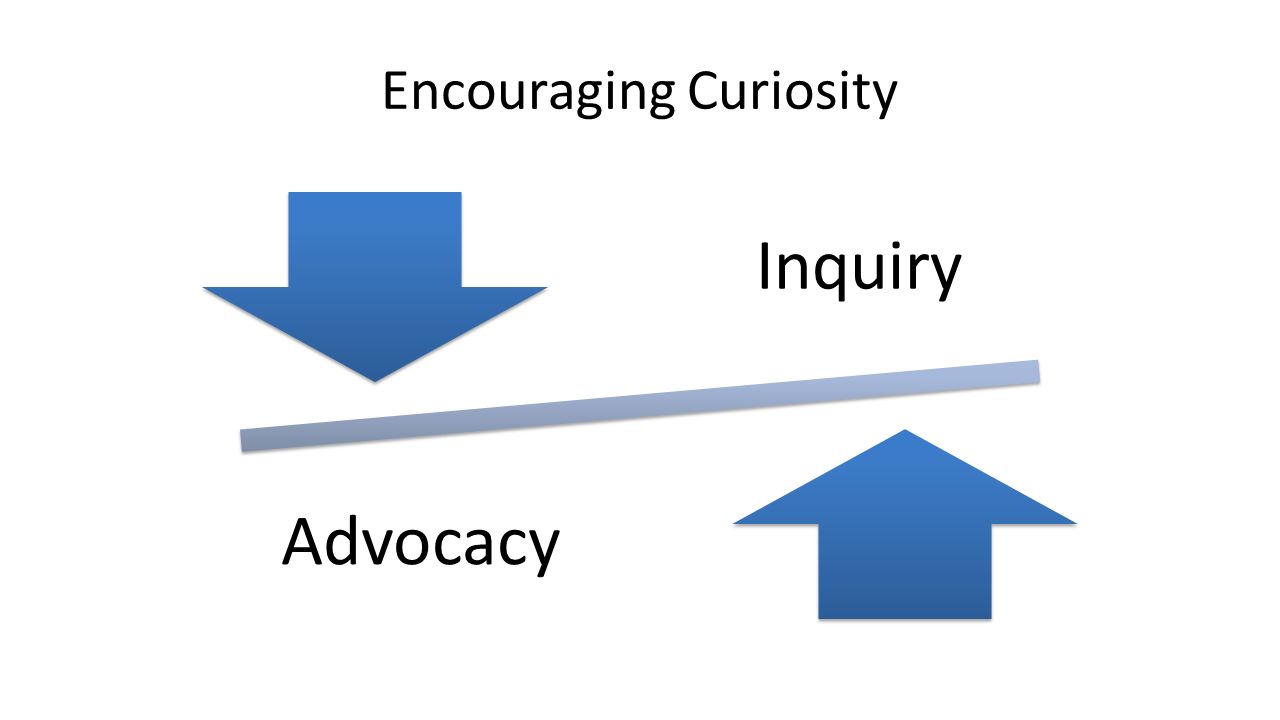 Encouraging Curiosity Inquiry Advocacy