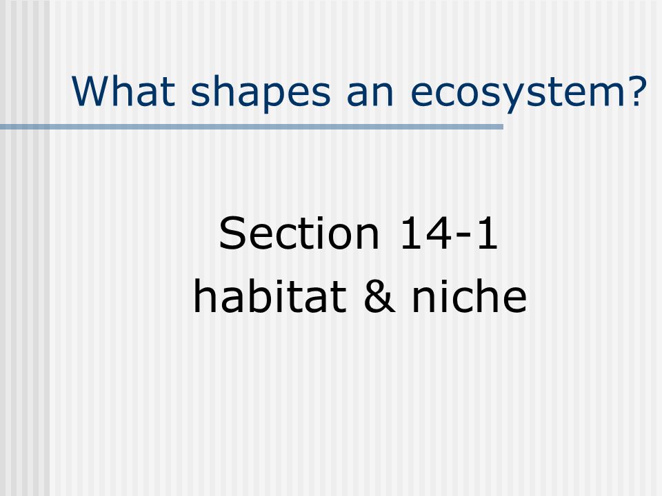 What shapes an ecosystem Section 14-1 habitat & niche