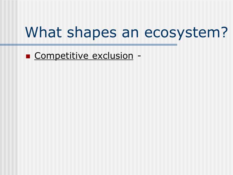 What shapes an ecosystem Competitive exclusion -