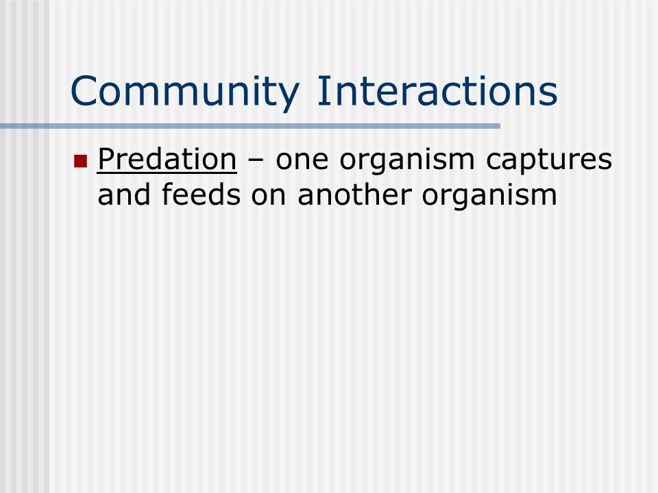 Community Interactions Predation – one organism captures and feeds on another organism