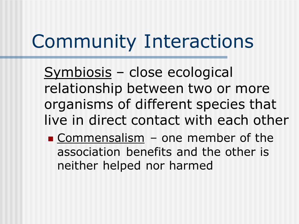 Community Interactions Symbiosis – close ecological relationship between two or more organisms of different species that live in direct contact with each other Commensalism – one member of the association benefits and the other is neither helped nor harmed