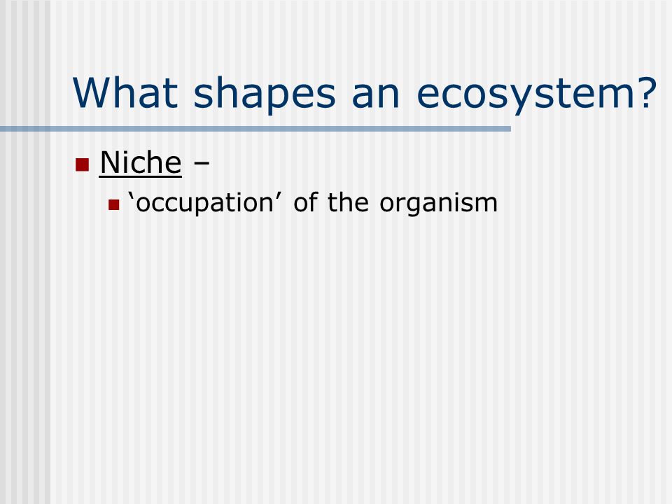 What shapes an ecosystem Niche – ‘occupation’ of the organism
