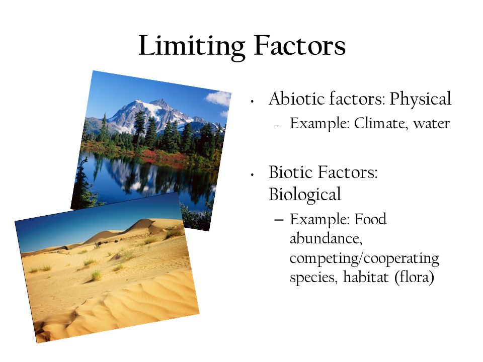 limiting factors examples biology