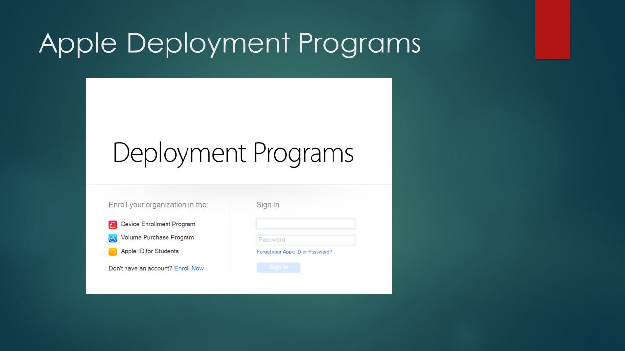 Apple Deployment Programs