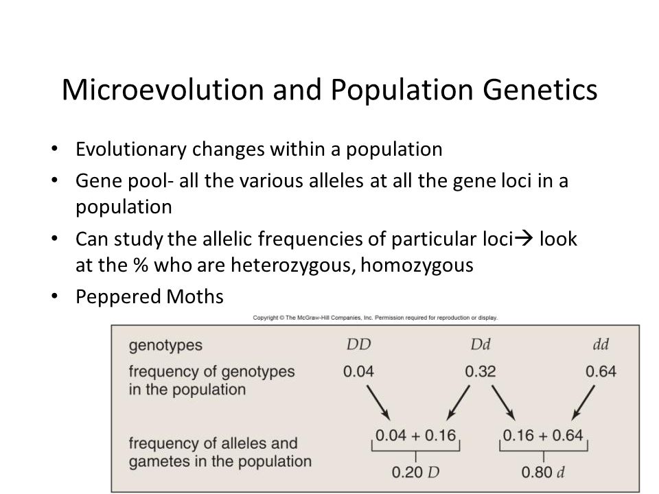 learning outcomes population genetics essay service ephomeworkzmkv genetics essay