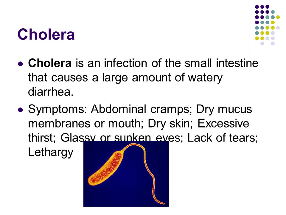 Cholera Cholera is an infection of the small intestine that causes a large amount of watery diarrhea.