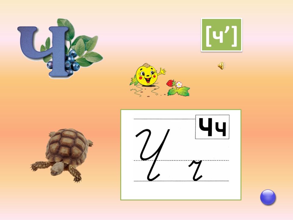 Буква ч презентация 1 класс