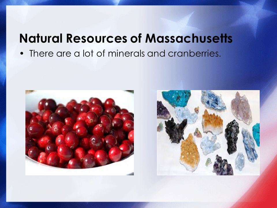 Natural Resources of Massachusetts There are a lot of minerals and cranberries.