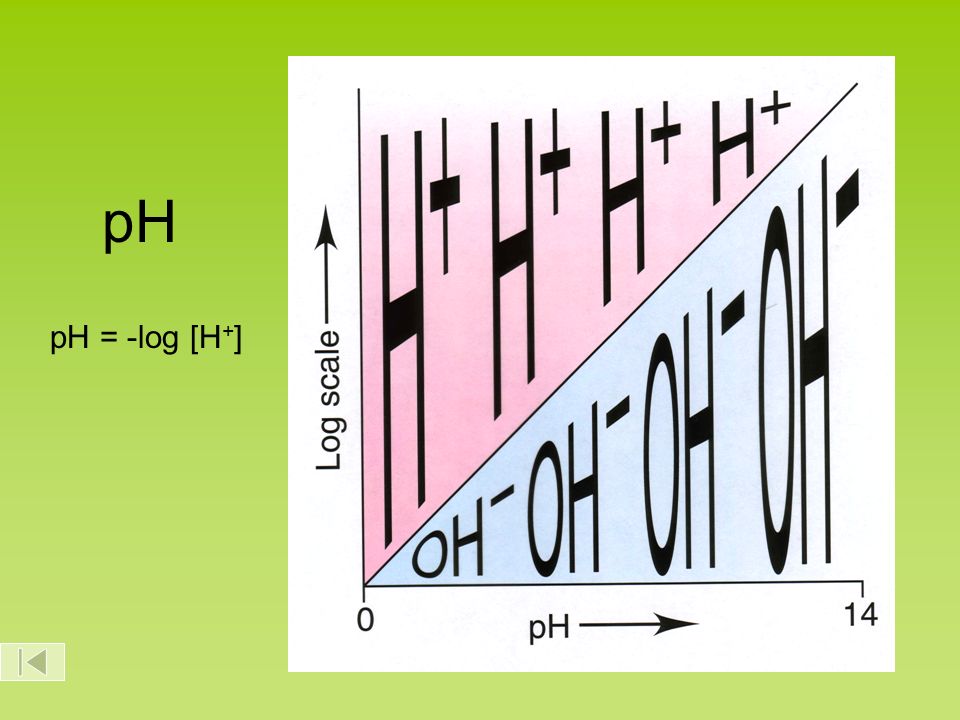 pH pH = -log [H + ]