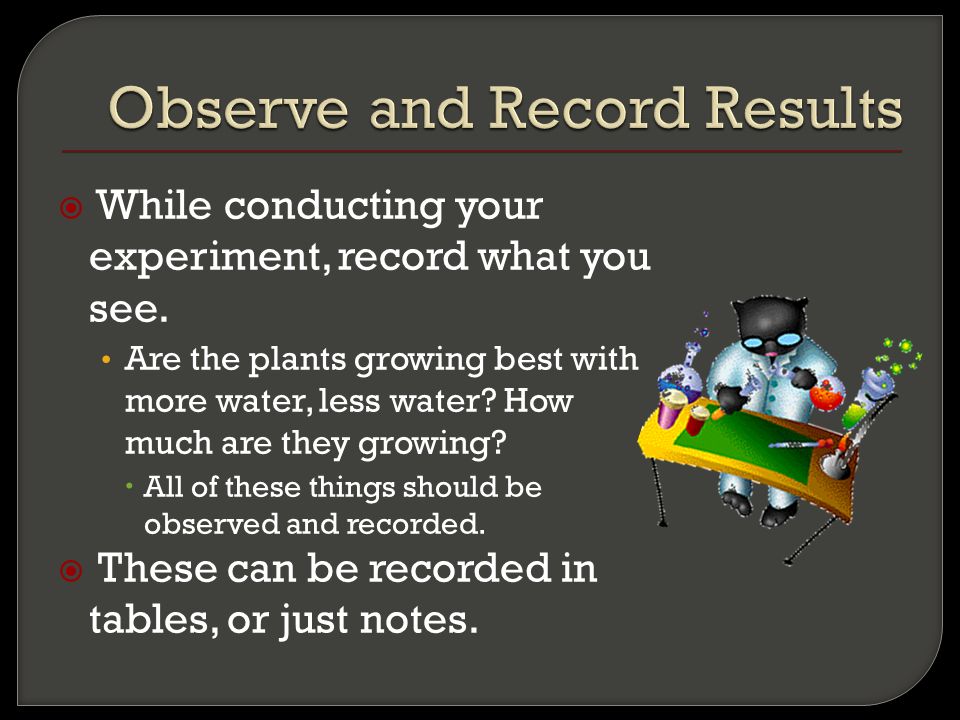  While conducting your experiment, record what you see.