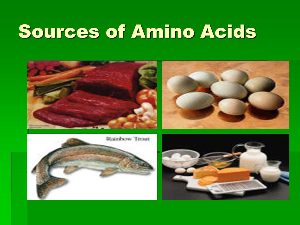 Sources of Amino Acids