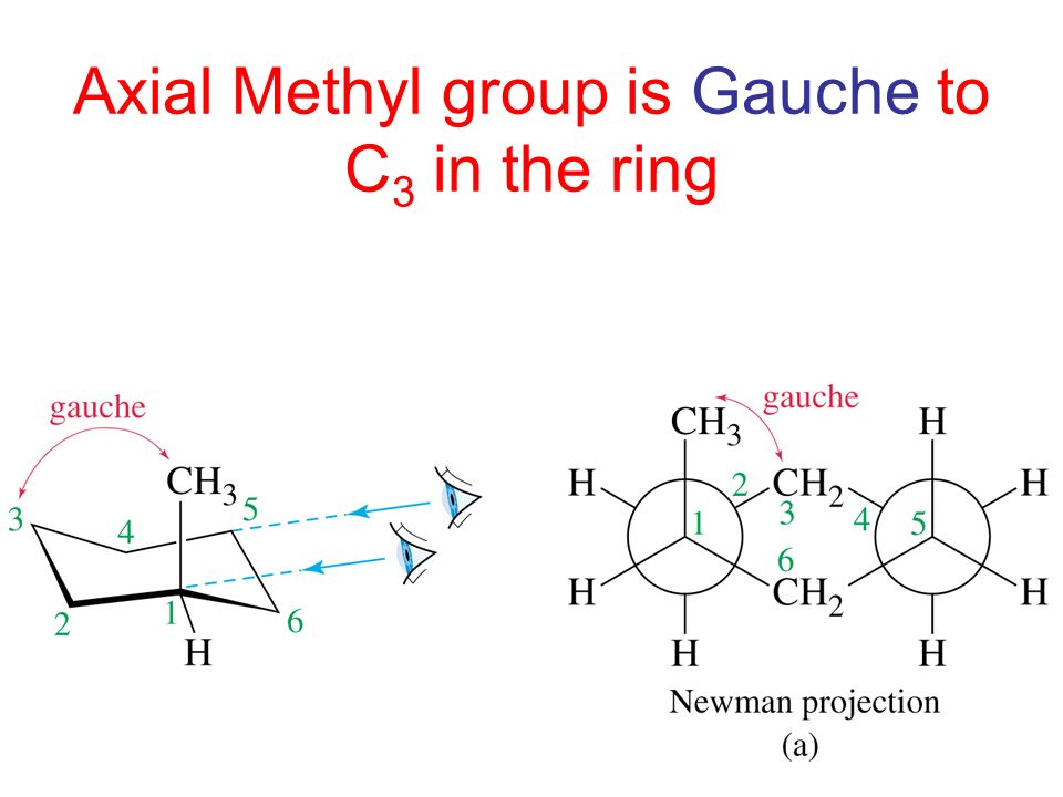 how to draw newman projections for cyclic compounds