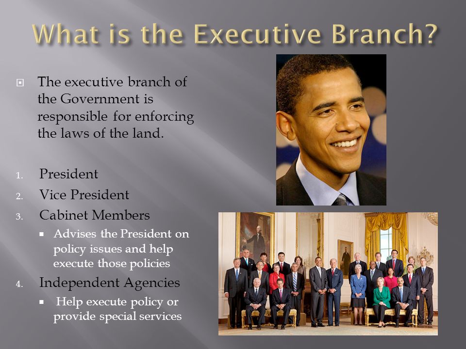  The executive branch of the Government is responsible for enforcing the laws of the land.