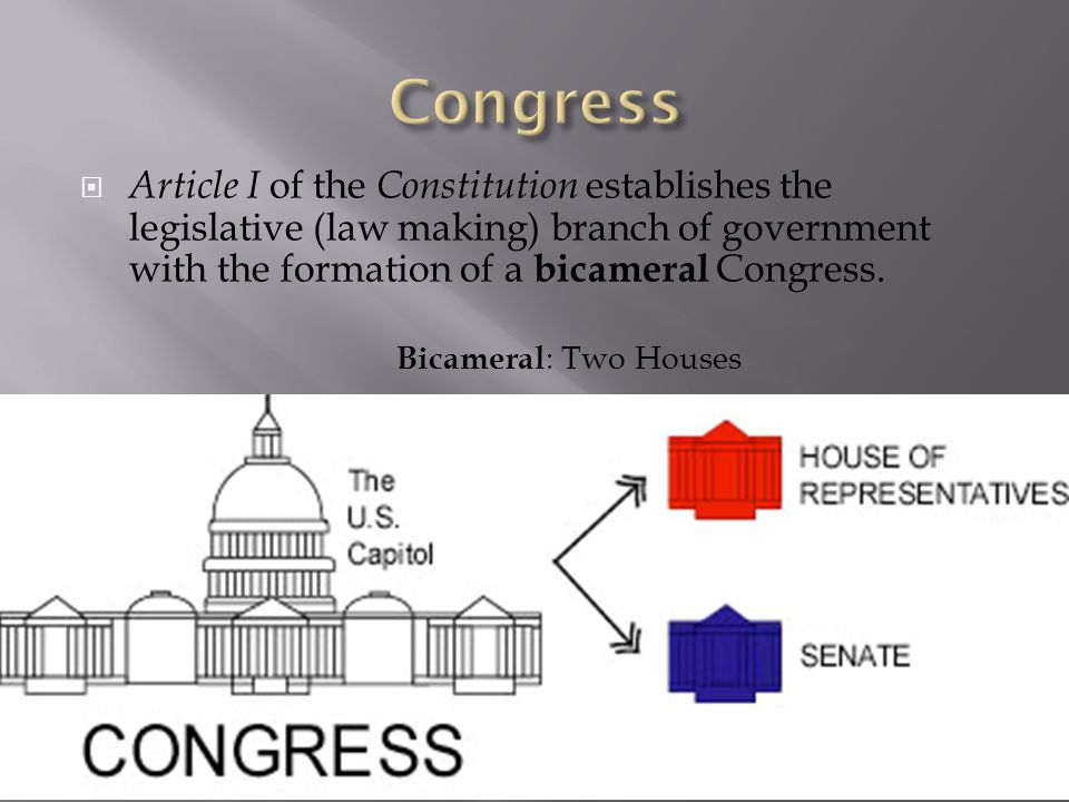  Article I of the Constitution establishes the legislative (law making) branch of government with the formation of a bicameral Congress.