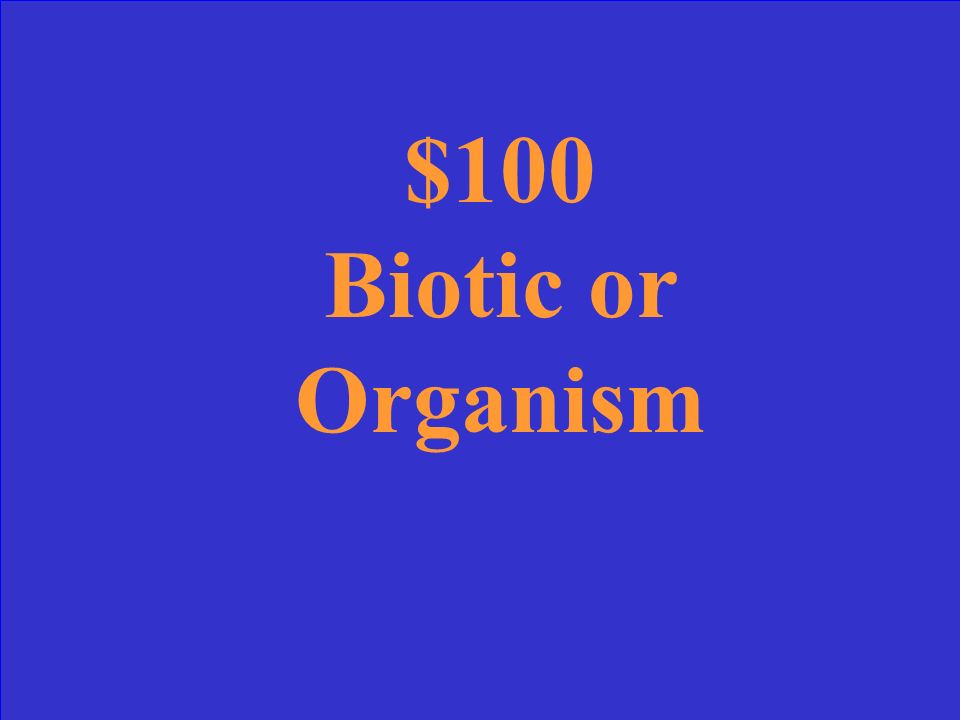 Roles in an Ecosystem Types of Ecosystems Producer, Consumer, Decomposer 10 Point 20 Points 30 Points 40 Points 50 Points 10 Point 20 Points 30 Points 40 Points 50 Points 30 Points 40 Points 50 Points Category CEcosystems 10 Point Change $100 $200 $300 $400 $500 $100$100$100 $200$200$200$200 $300 $400 $500 $300$300$300 $400$400$400 $500$500$500 $100