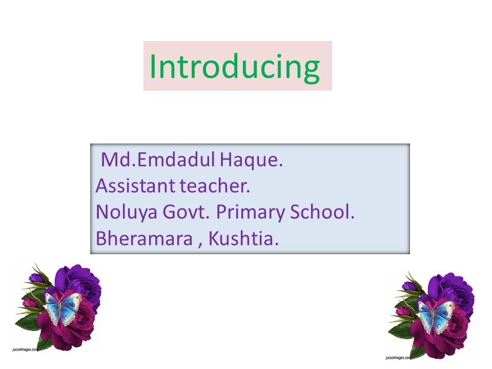 Md.Emdadul Haque. Assistant teacher. Noluya Govt. Primary School. Bheramara, Kushtia. Introducing