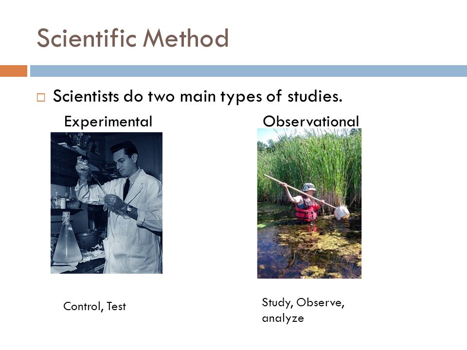 Scientific Method  Scientists do two main types of studies.