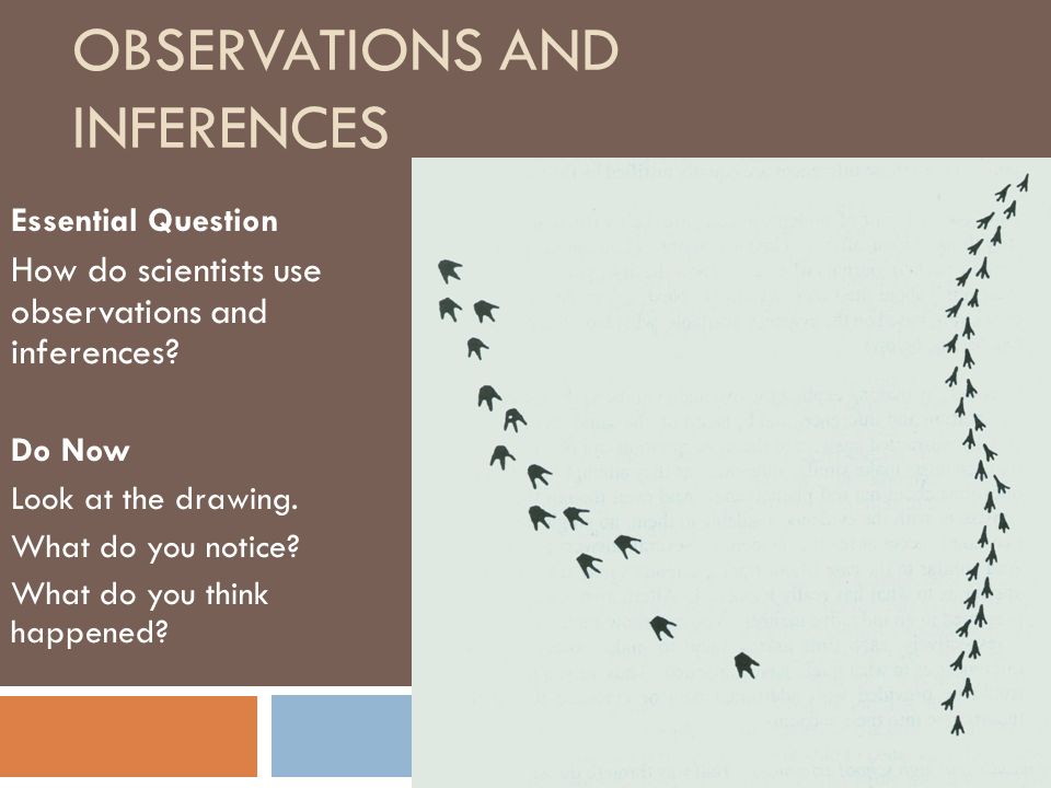 OBSERVATIONS AND INFERENCES Essential Question How do scientists use observations and inferences.