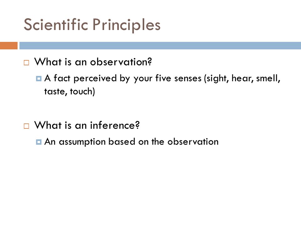Scientific Principles  What is an observation.