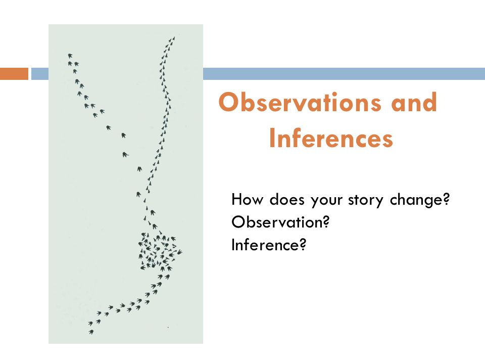 How does your story change Observation Inference Observations and Inferences