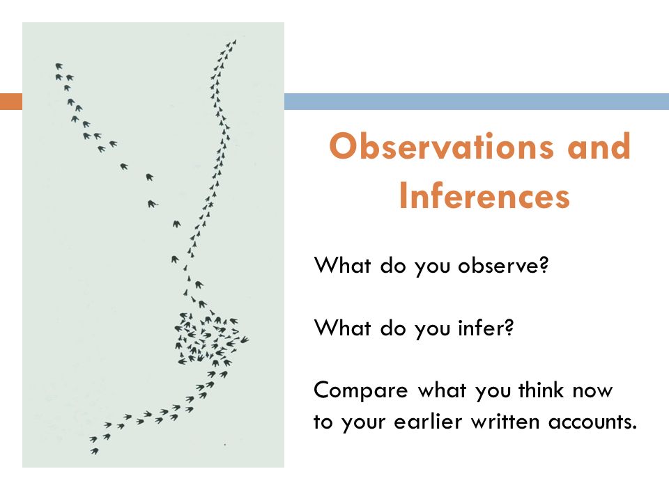 What do you observe. What do you infer.